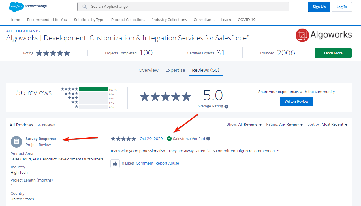 Example of Salesforce Consultant Reviews Based on Survey Responses