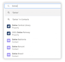 Salesforce Global Search interface