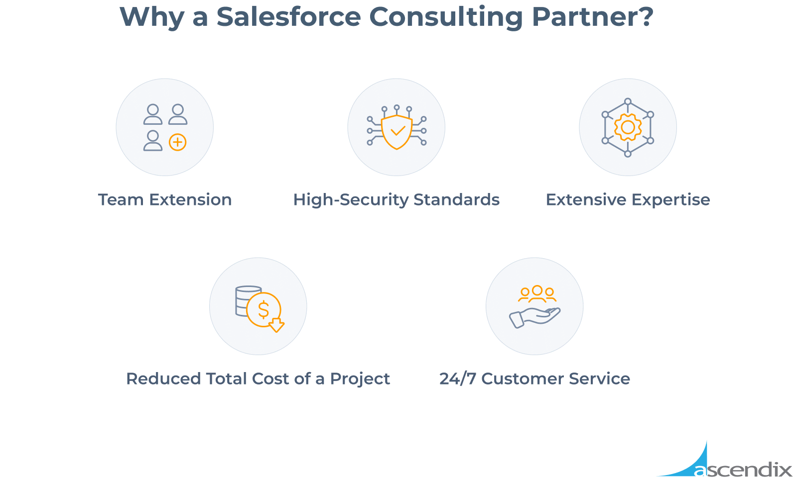 Why a Salesforce Consulting Partner Ascendix