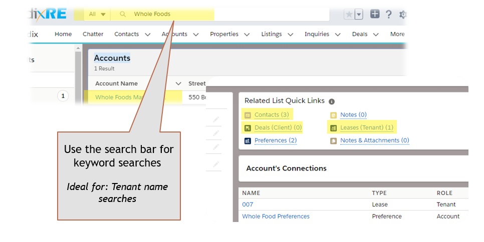 AscendixRE search by keyword 