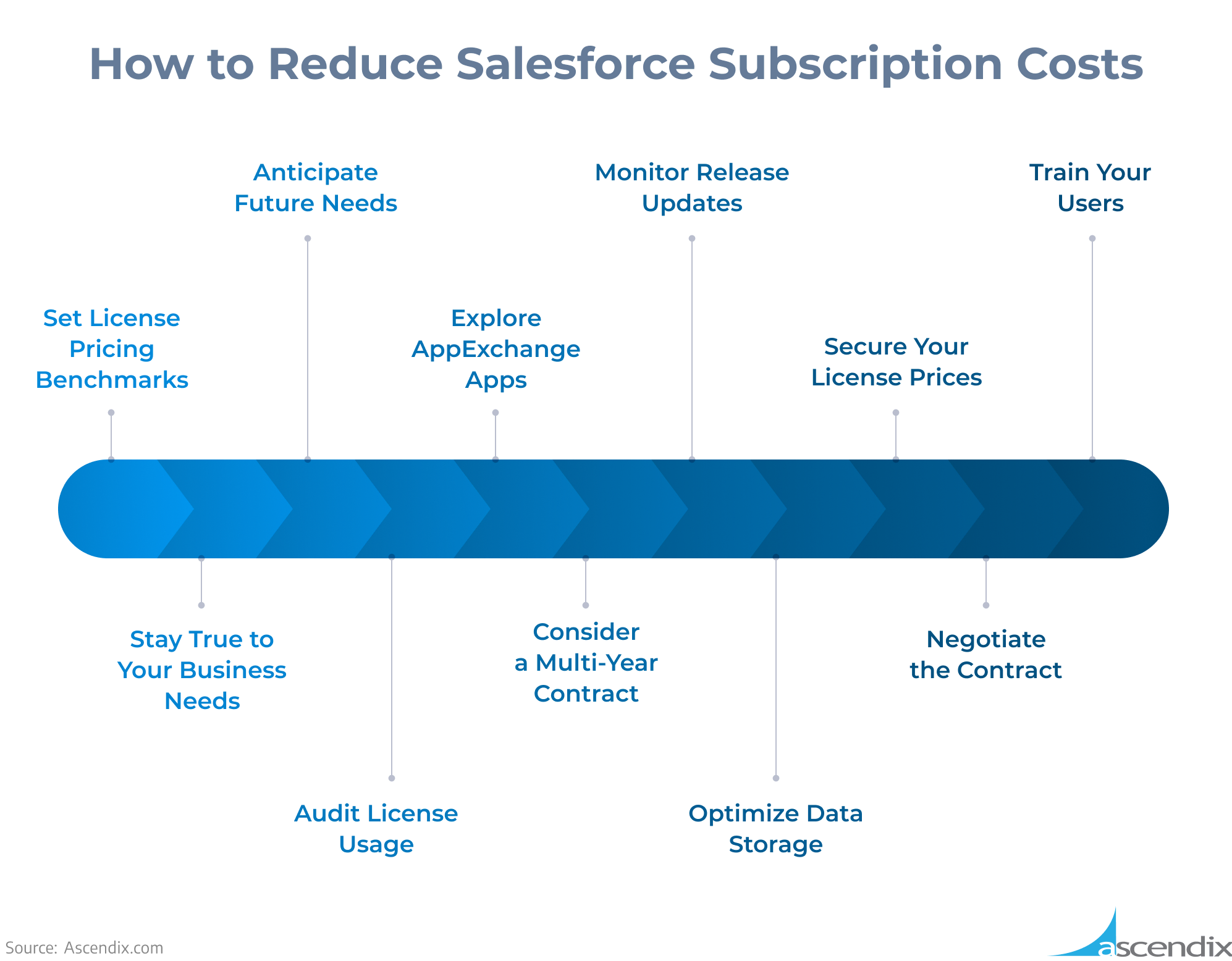 How to Reduce Salesforce Subscription Costs | Ascendix