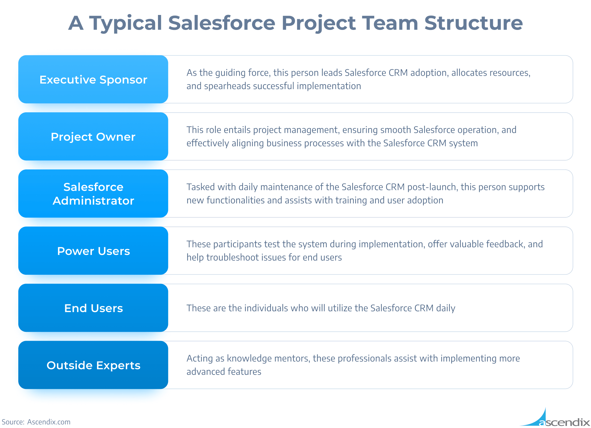 A Typical Salesforce Project Team Structure Ascendix