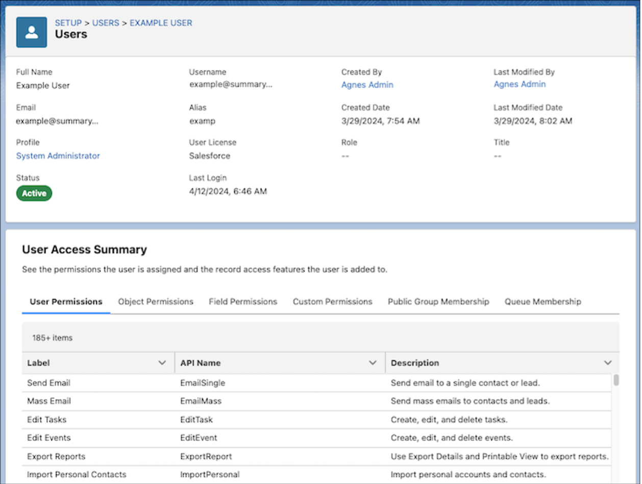 How to View User Access Summary in Salesforce | Ascendix