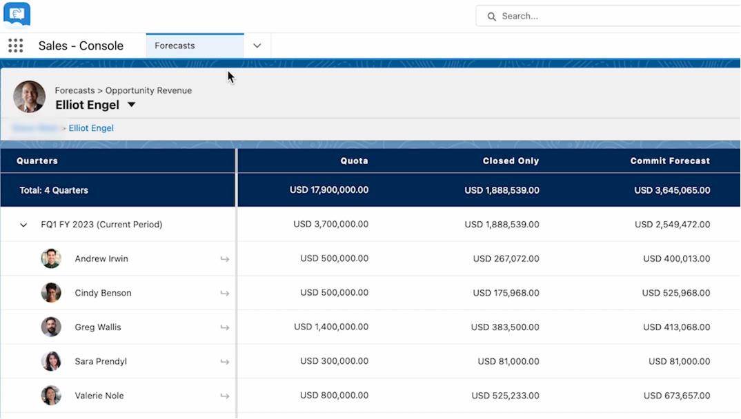 Roles Hierarchies in Salesforce Sales Cloud