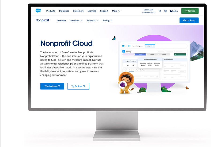 salesforce nonprofit cloud consulting services