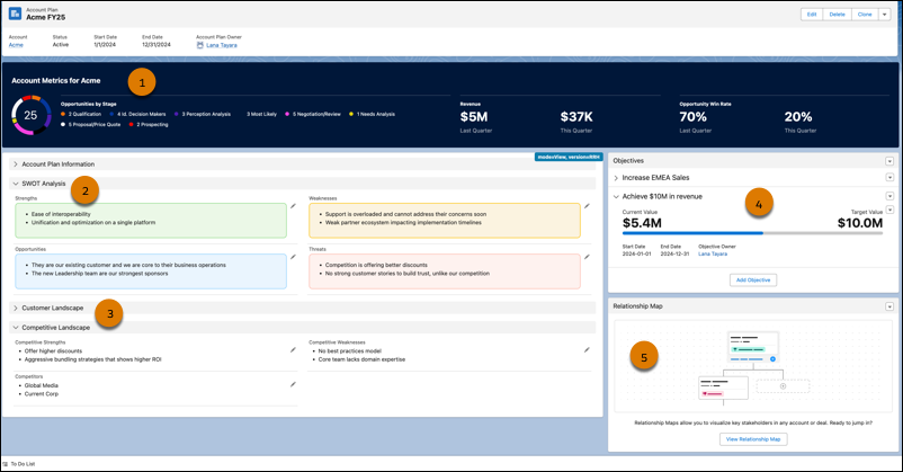 Example of Account Plans in Salesforce Ascendix