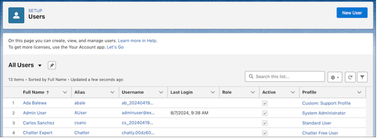 New Enhanced User List View Ascendix