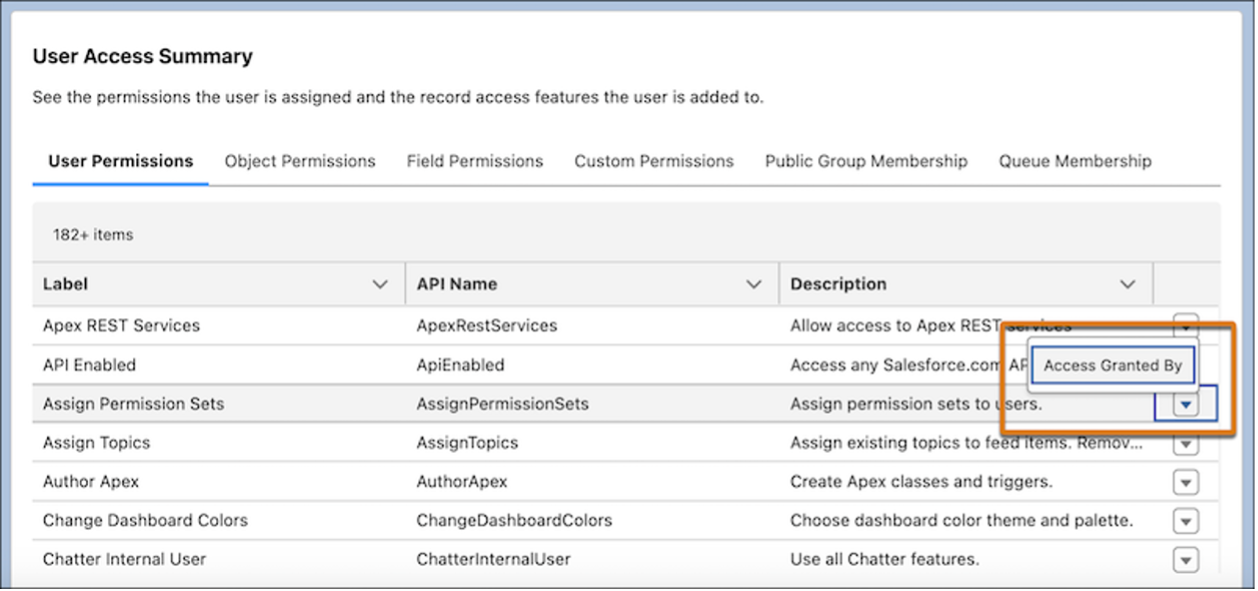 New Improved User Access Summary Interface Ascendix