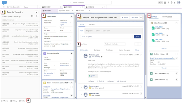 Case Management in Salesforce Service Cloud