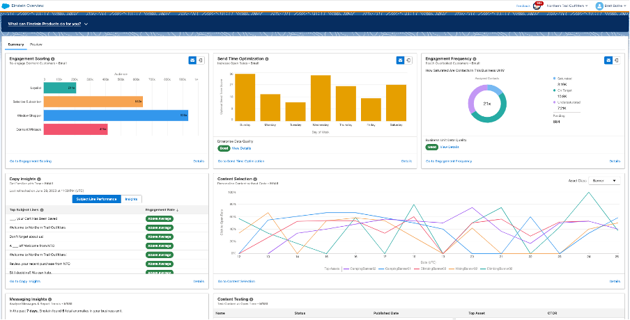 AI Enhanced Lead Scoring in Marketing Cloud Engagement