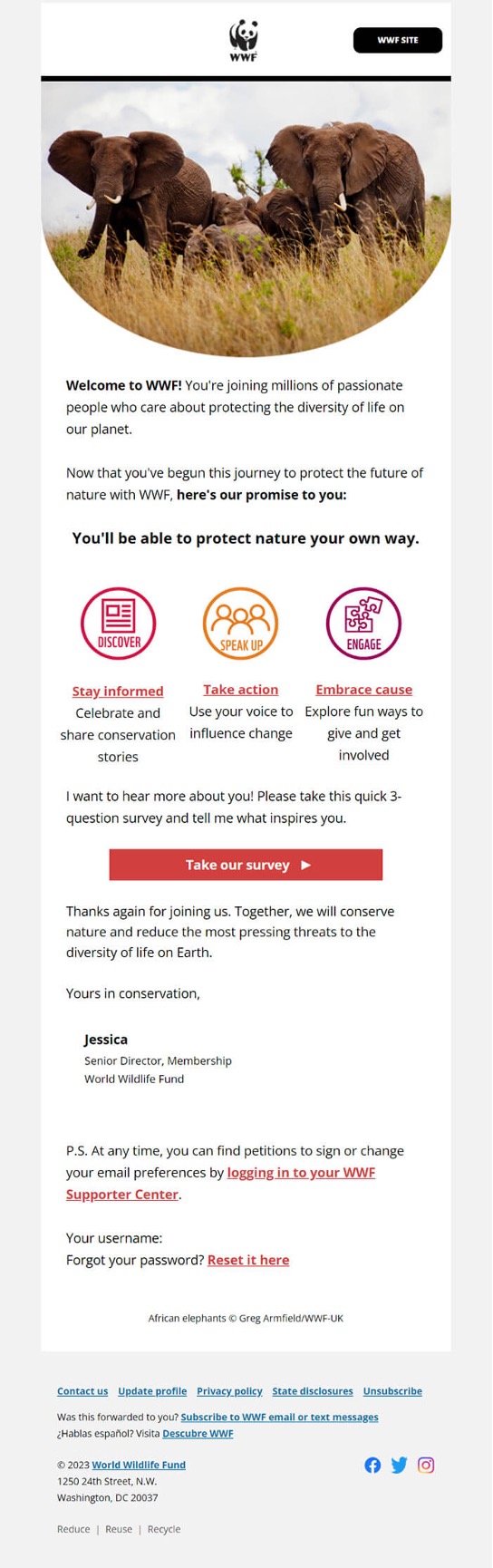 WWF Welcome Email Example with a Survey for Nonprofits