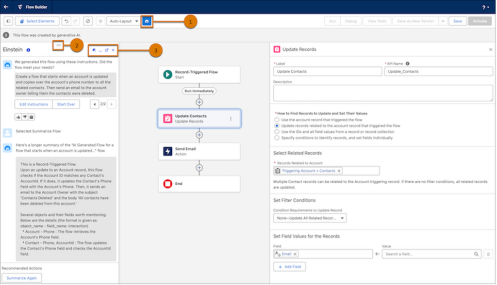 New Einstein Panel in Flow Builder