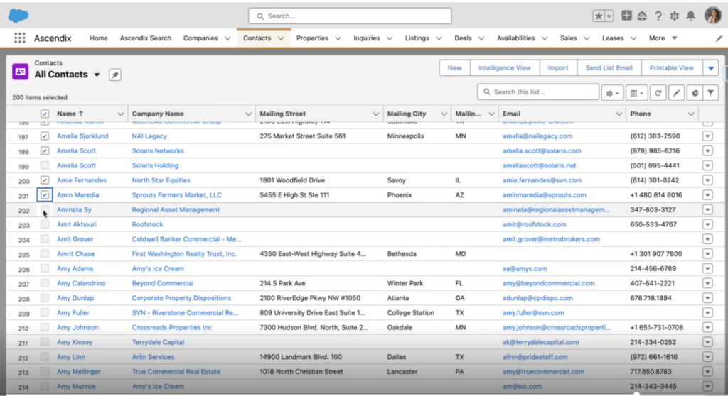Mass Edit Opportunities in Salesforce: Ascendix Search Example
