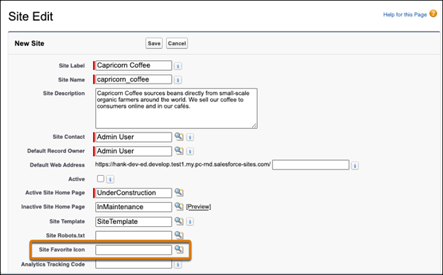 custom favicon option on salesforce 